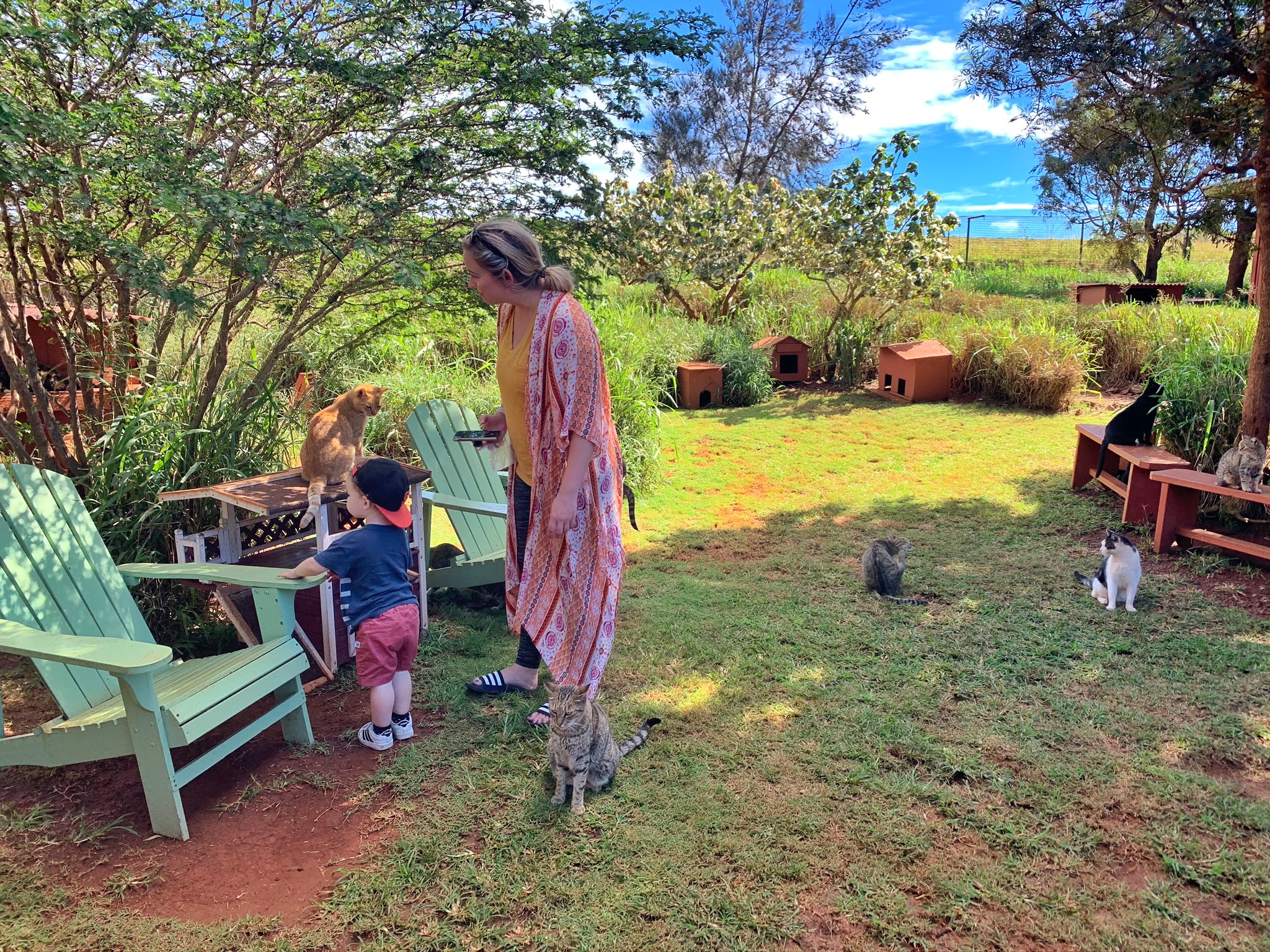 Day Trip to Lanai