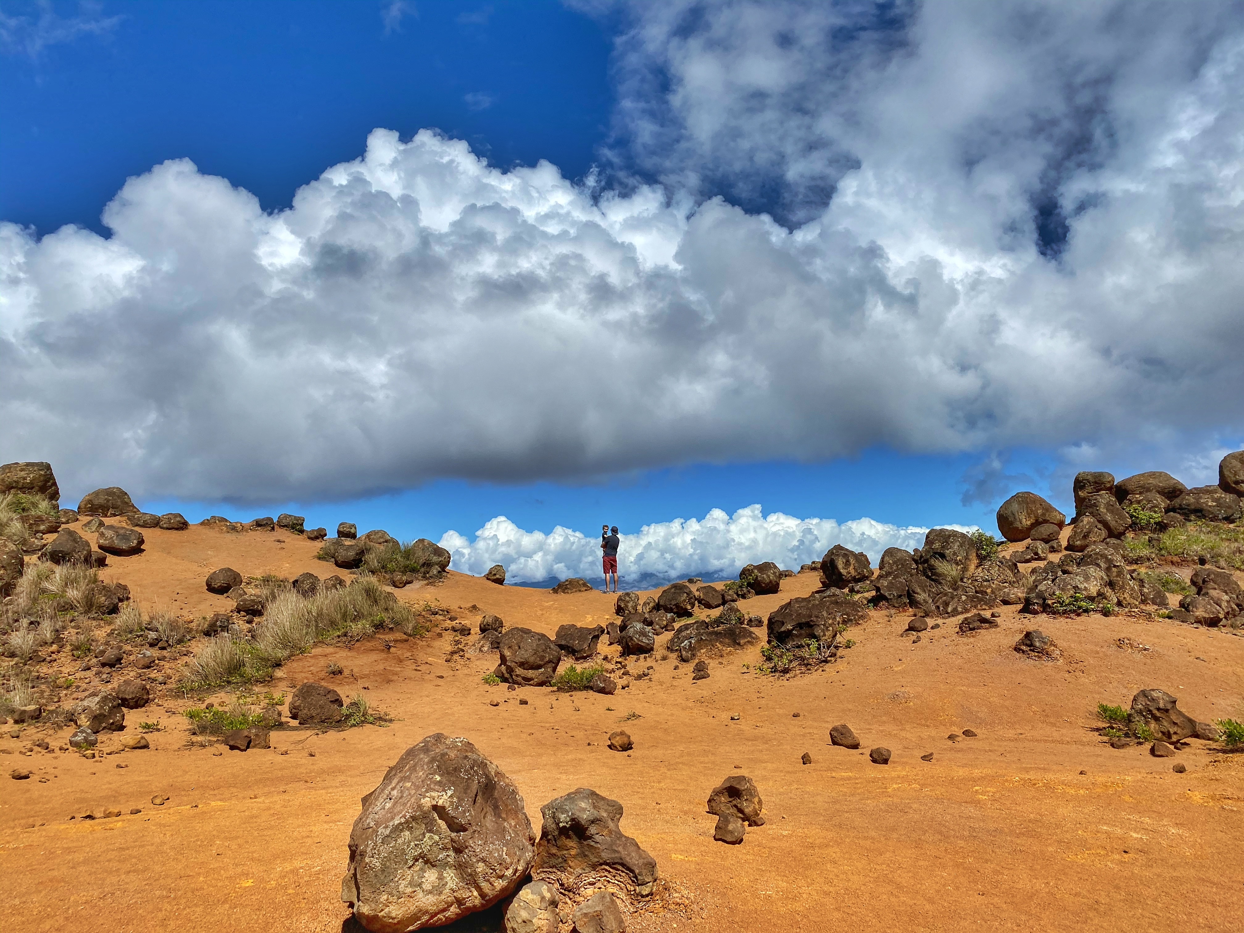 Day Trip to Lanai