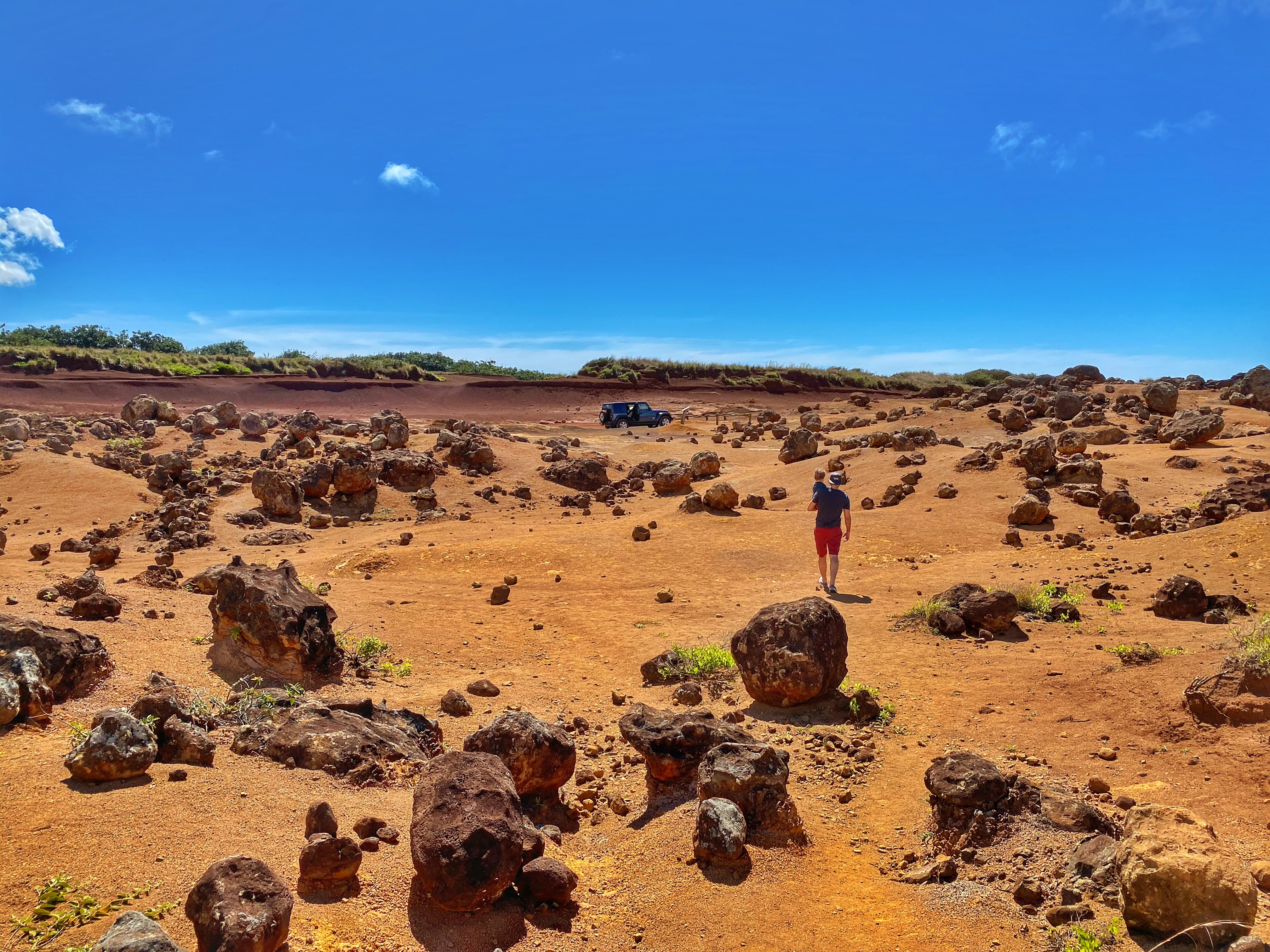 Day Trip to Lanai