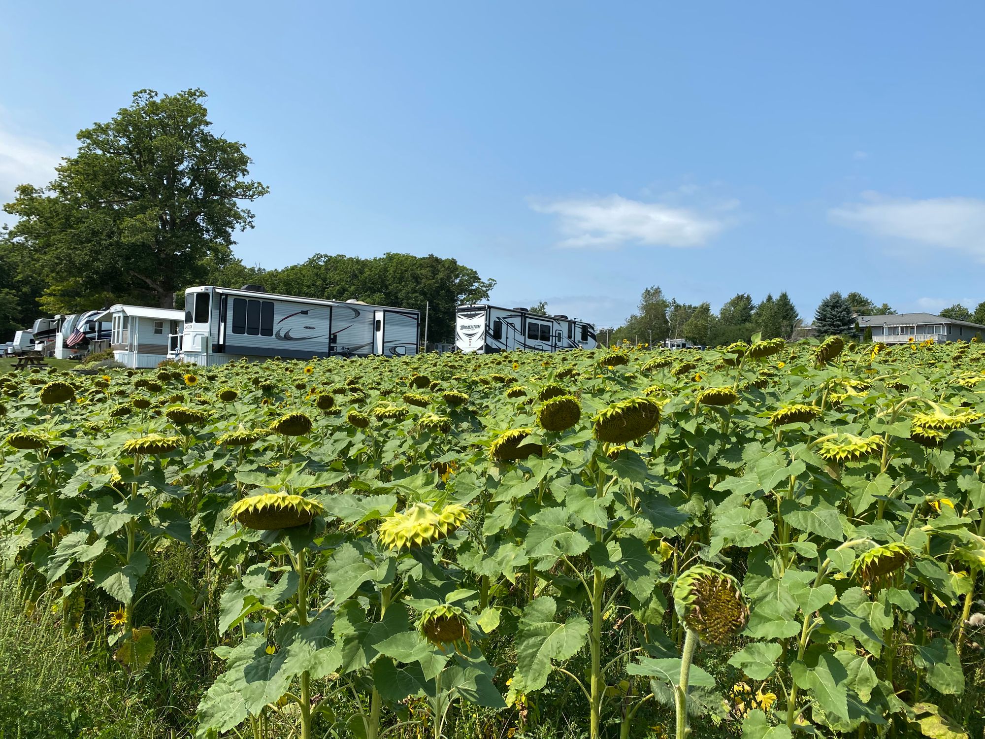 Visiting Deep Creek Lake, MD (COVID-19 Summer Edition)