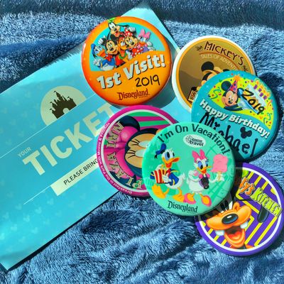 Disneyland Trip Planner